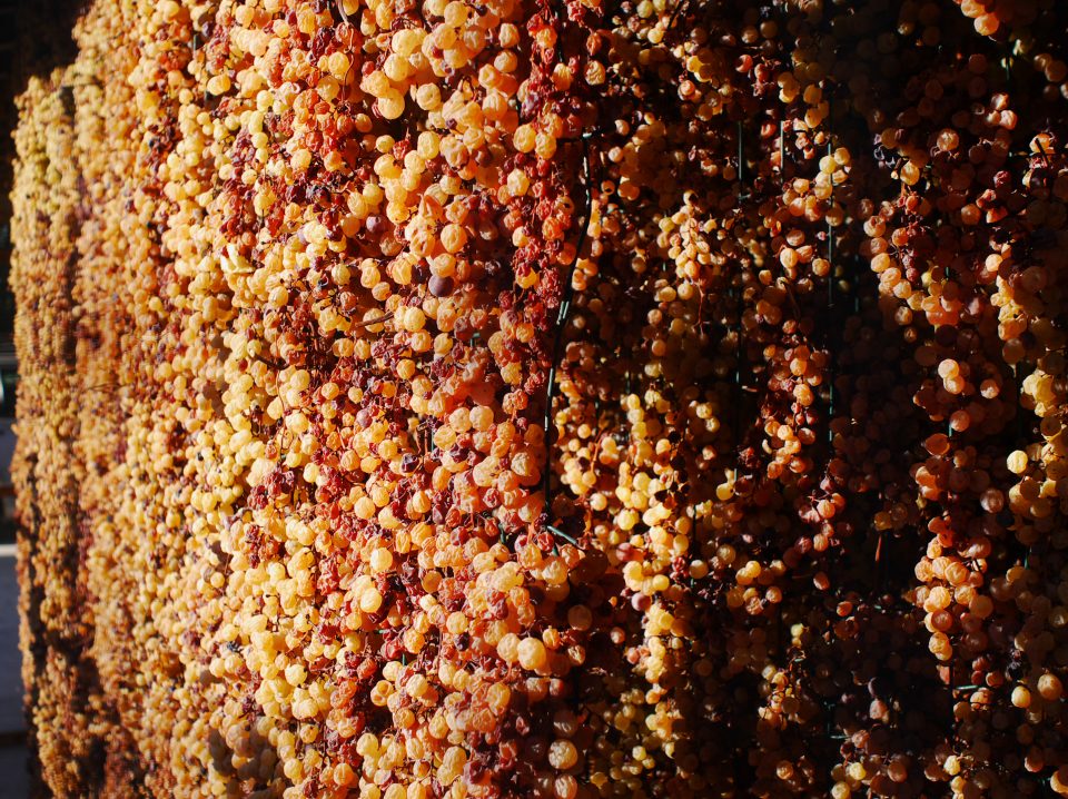 Great Sweet Wines of the World Part 2: Passito - SnarkyWine